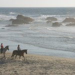 Trail rides at Ricochet Ridge Ranch