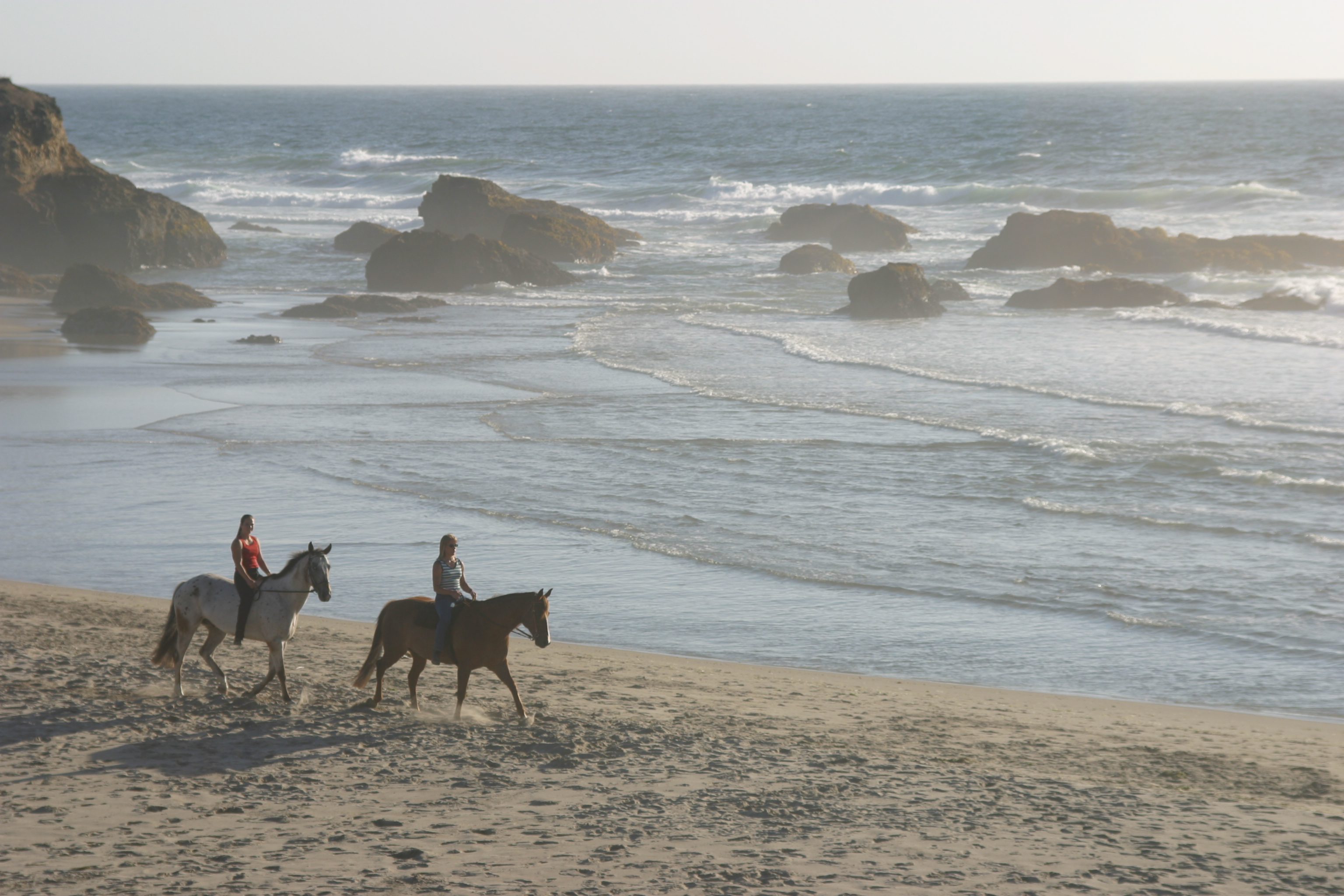 Trail rides at Ricochet Ridge Ranch