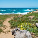 Take a stroll by the seashore