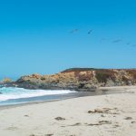 Pelicans flying near Glass Beach