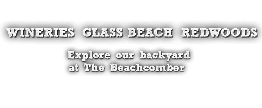 Wineries, glass beach, redwoods - explore our backyard at The Beachcomber